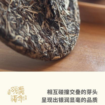 Rainforest Ancient Tree 2021 Tiger Year Blessing Ancient Tree White Tea Cake – 357g Premium White Tea