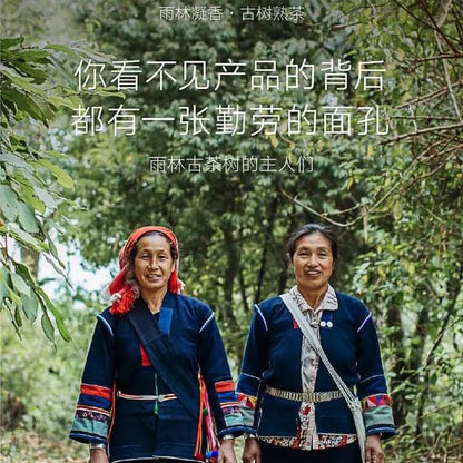 Rainforest Ningxiang 2016 Ripe Pu-Erh Tea Cake 357g – Premium Yunnan Shou Puerh