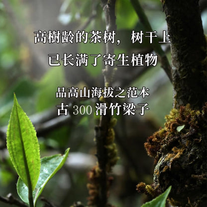 Pu-Erh tea,2020,SHENG JIA YUAN,Slippery Bamboo Beams,357g,Raw