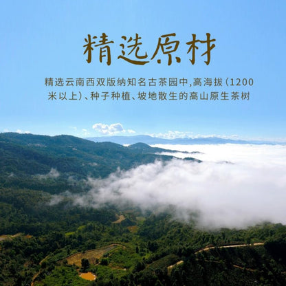 2018 Dou Ji Gu Xiang Man Dou Raw Pu-erh Tea Cake, 400g, from Yunnan
