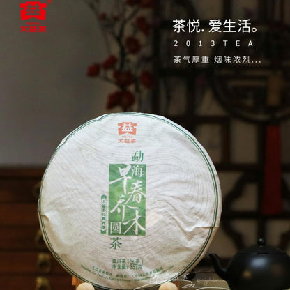 2013 Zaochun Qiaomu Raw Pu-erh Tea Cake, 357g, from Yunnan