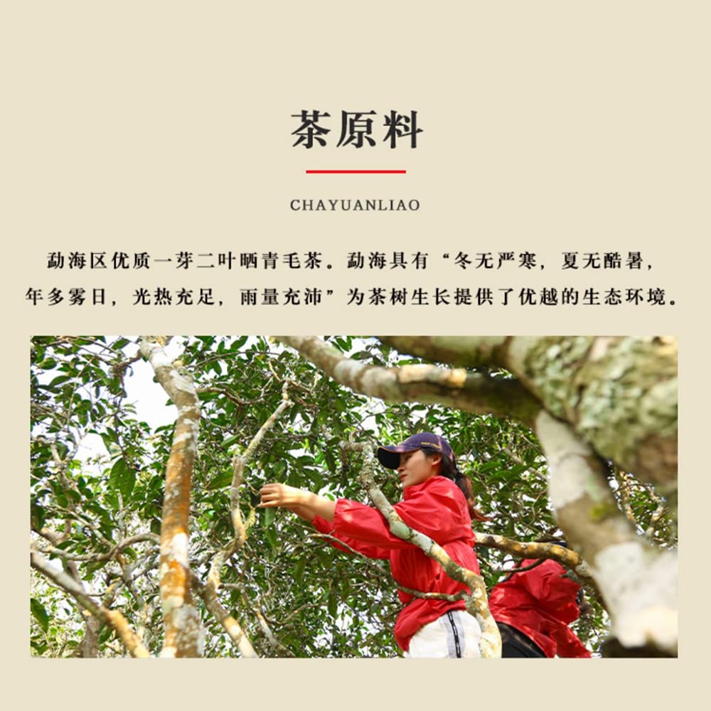 Keyixing Jie Yi Kou 2020 Ripe Pu-Erh Tea Cake 357g
