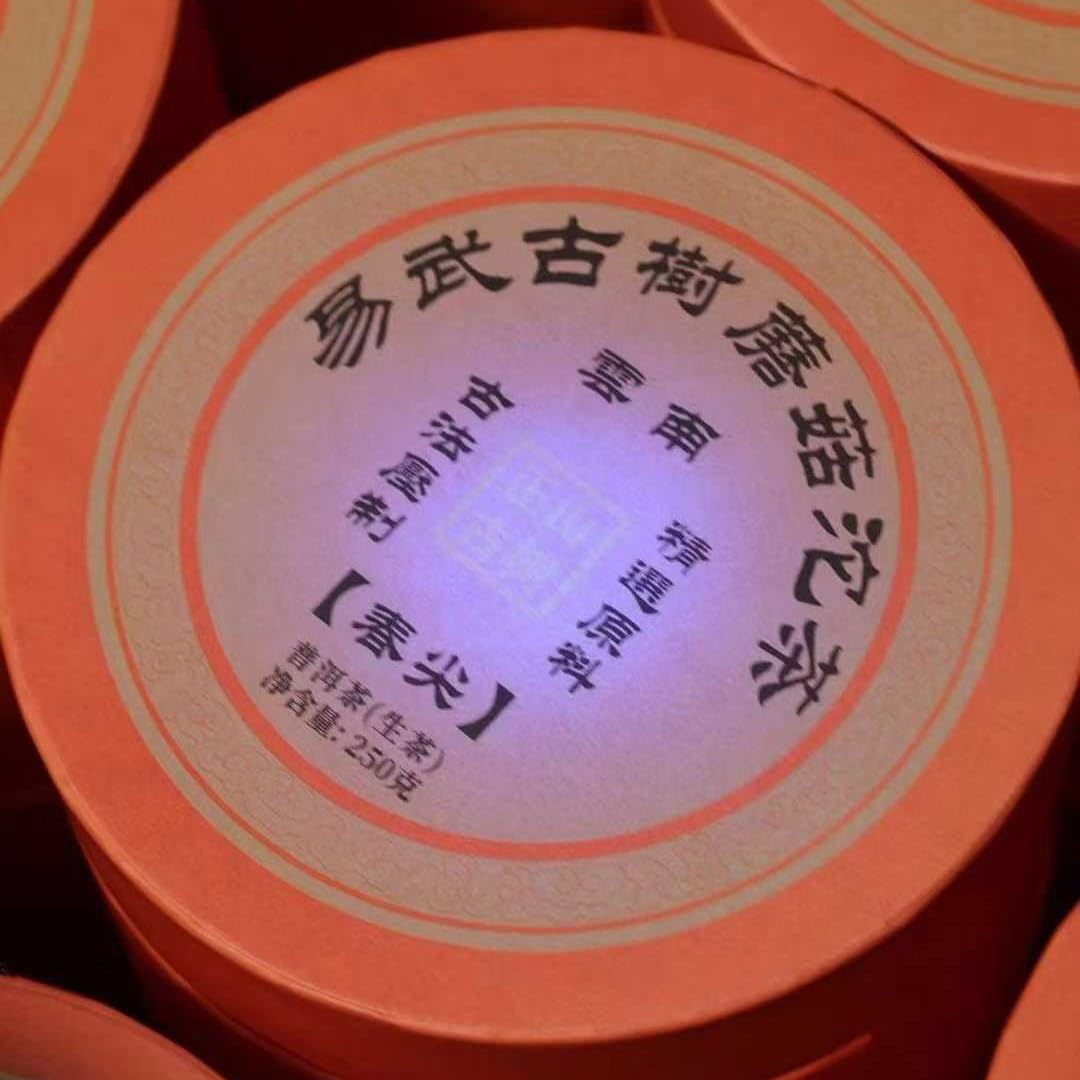 2008 Aged Yiwu Ancient Tree Mushroom Tuo Tea - Raw Puerh (2 Pack x 250g, Total 500g)