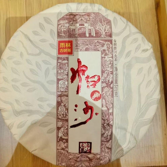 Rainforest Ancient Tree Pasha 2021 Raw Pu-Erh Tea Cake 357g – Premium Yunnan Sheng Puerh, Rich & Mellow