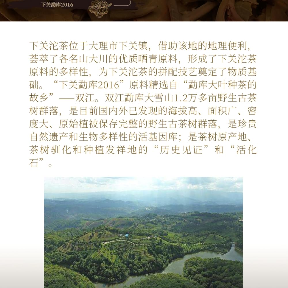 Xiaguan Mengku Raw Pu-Erh Tea 2016 – 357g