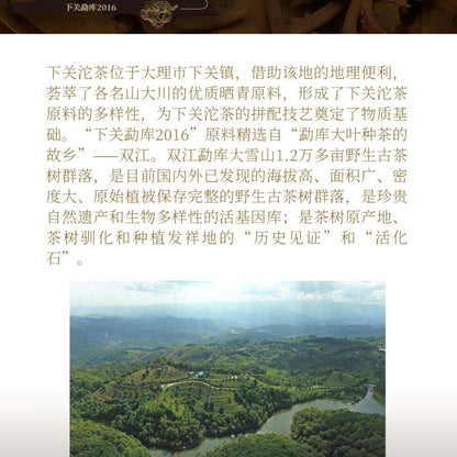 Xiaguan Mengku Raw Pu-Erh Tea 2016 – 357g