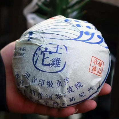 Banzhang Yinji Tribute Tuo Raw Pu-Erh Tea 2022 – 500g