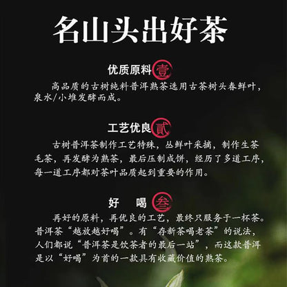 Pu-Erh tea,2016,SHENG JIA YUAN,Yi Wu,357g,Ripe