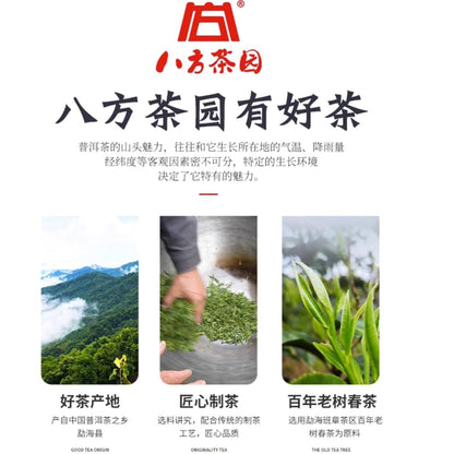 Bafang Tea Garden Menghai Chun Yun Raw Pu-Erh Tea 2017 – 357g