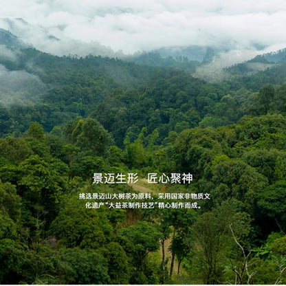 2018 Year of the Dog Zodiac Raw Pu-erh Tea Cake, 357g, from Yunnan