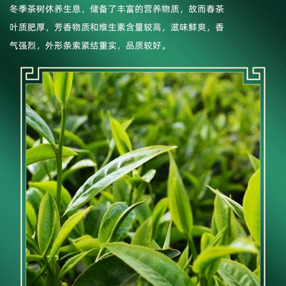 2020 Chen Sheng Hao Yuan Meng Raw Pu-erh Tea Cake, 357g, from Yunnan