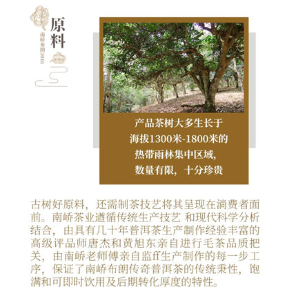 Che Fonan Bulang Legend Raw Pu-Erh Tea 2016 – 357g