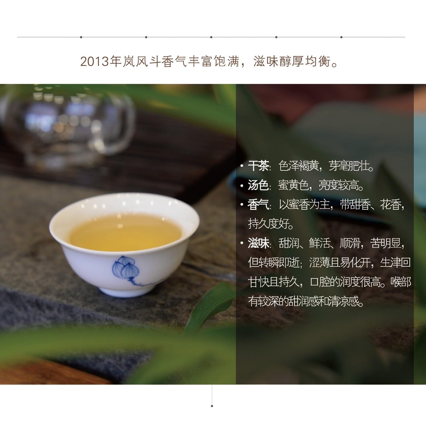 2013 Dovji Storm Fuuto Raw Pu-erh Tea Cake, 440g, from Yunnan