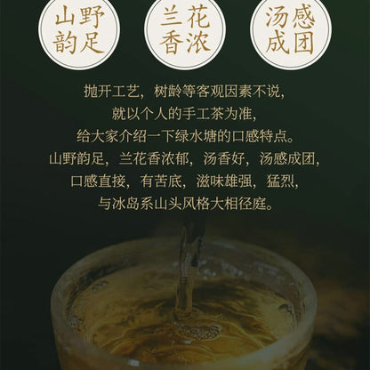 Sheng Jia Yuan Green Pond 2022 Raw Pu-Erh Tea Cake 357g