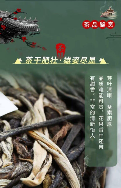 2020 Bohe Tang Raw Pu-erh Tea Cake, 357g, from Yunnan