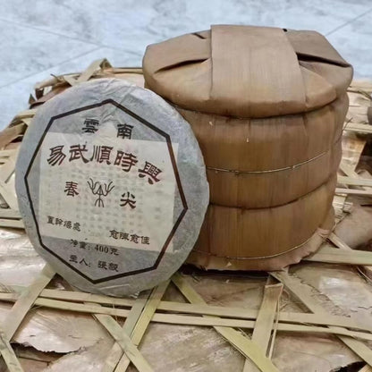 2009 Yiwu Shun Shixing - Chun Jian Raw Pu-erh Tea Cake, 400g, from Yunnan