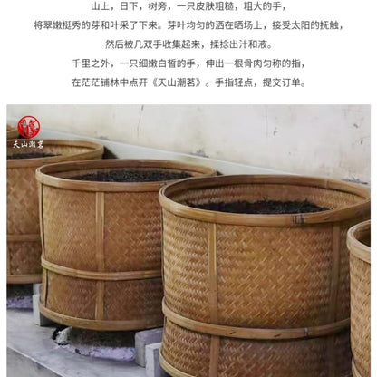Phoenix Dancong 鳳凰單叢,蛤蛄捞,125g*4,Shipped from China