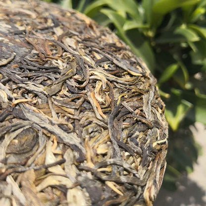 2020 Bohe Tang Raw Pu-erh Tea Cake, 357g, from Yunnan