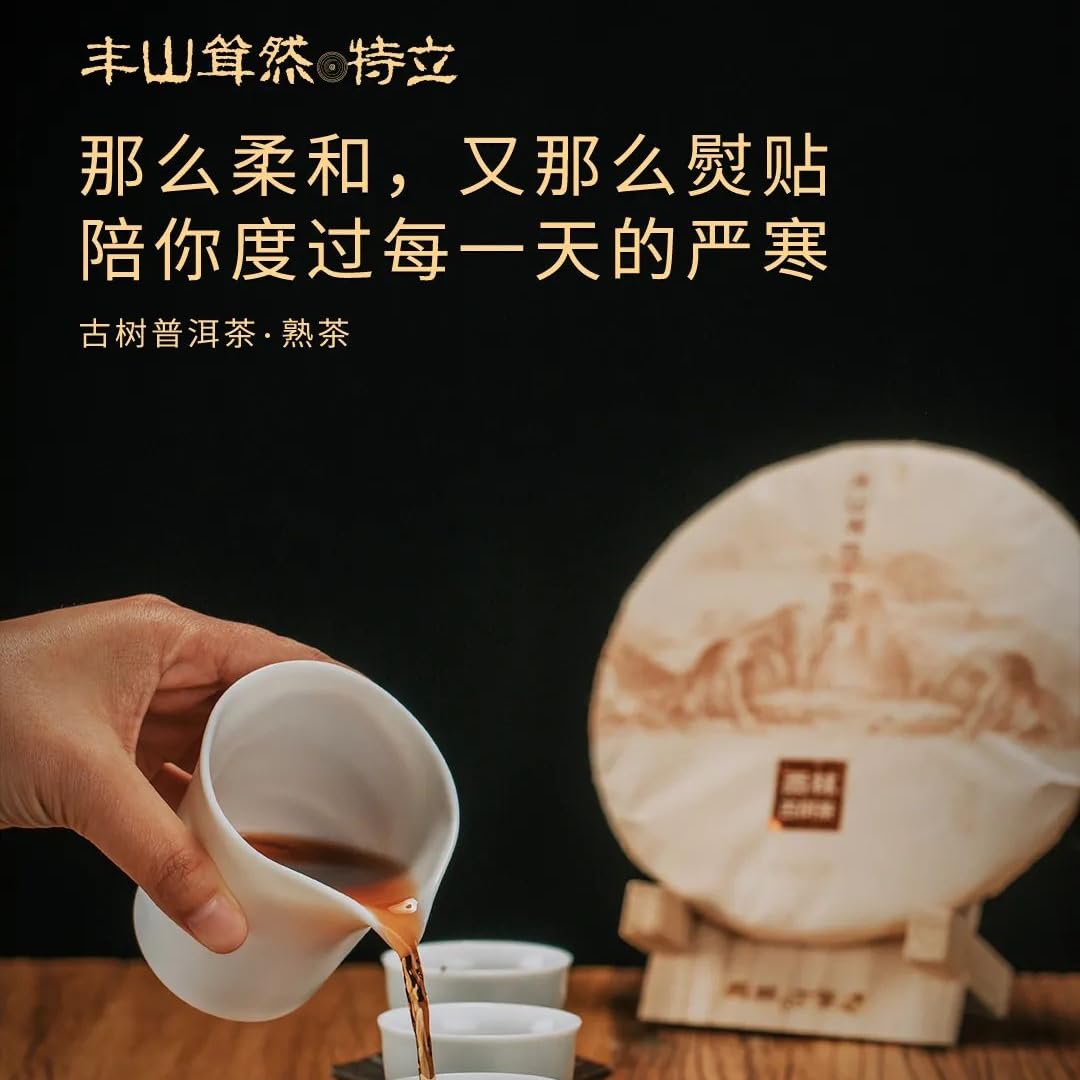 Rainforest Ancient Tree 2018 Teli Ripe Pu-Erh Tea Cake – 357g Premium Shou Puerh