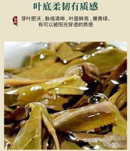2020 You Gu Tea Factory Banpen Ancient Rhyme Raw Pu-erh Tea Cake, 357g, from Yunnan