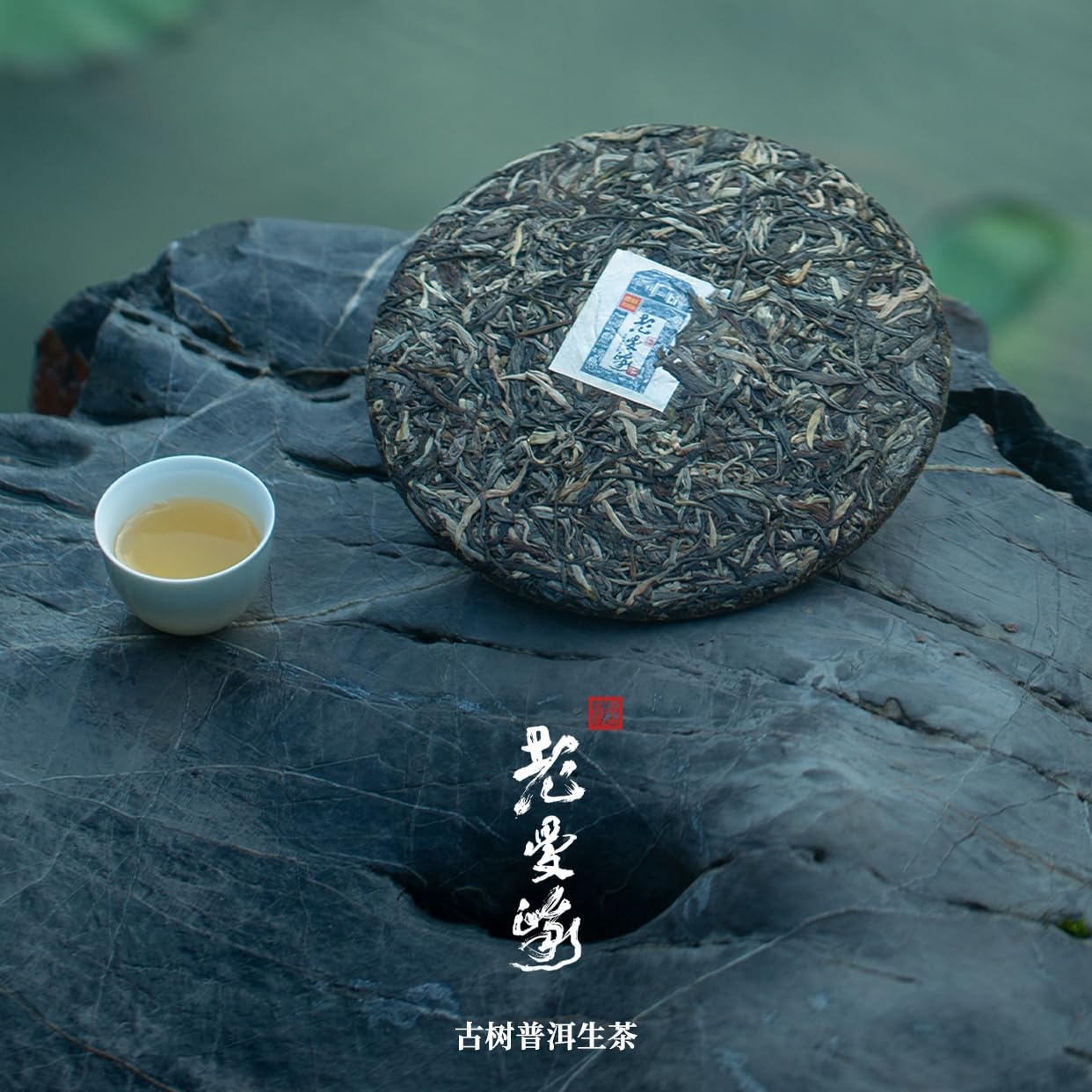 Rainforest Ancient Tree Lao Man'e 2022 Raw Pu-Erh Tea Cake 357g – Premium Yunnan Sheng Puerh
