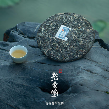 Rainforest Ancient Tree Lao Man'e 2022 Raw Pu-Erh Tea Cake 357g – Premium Yunnan Sheng Puerh