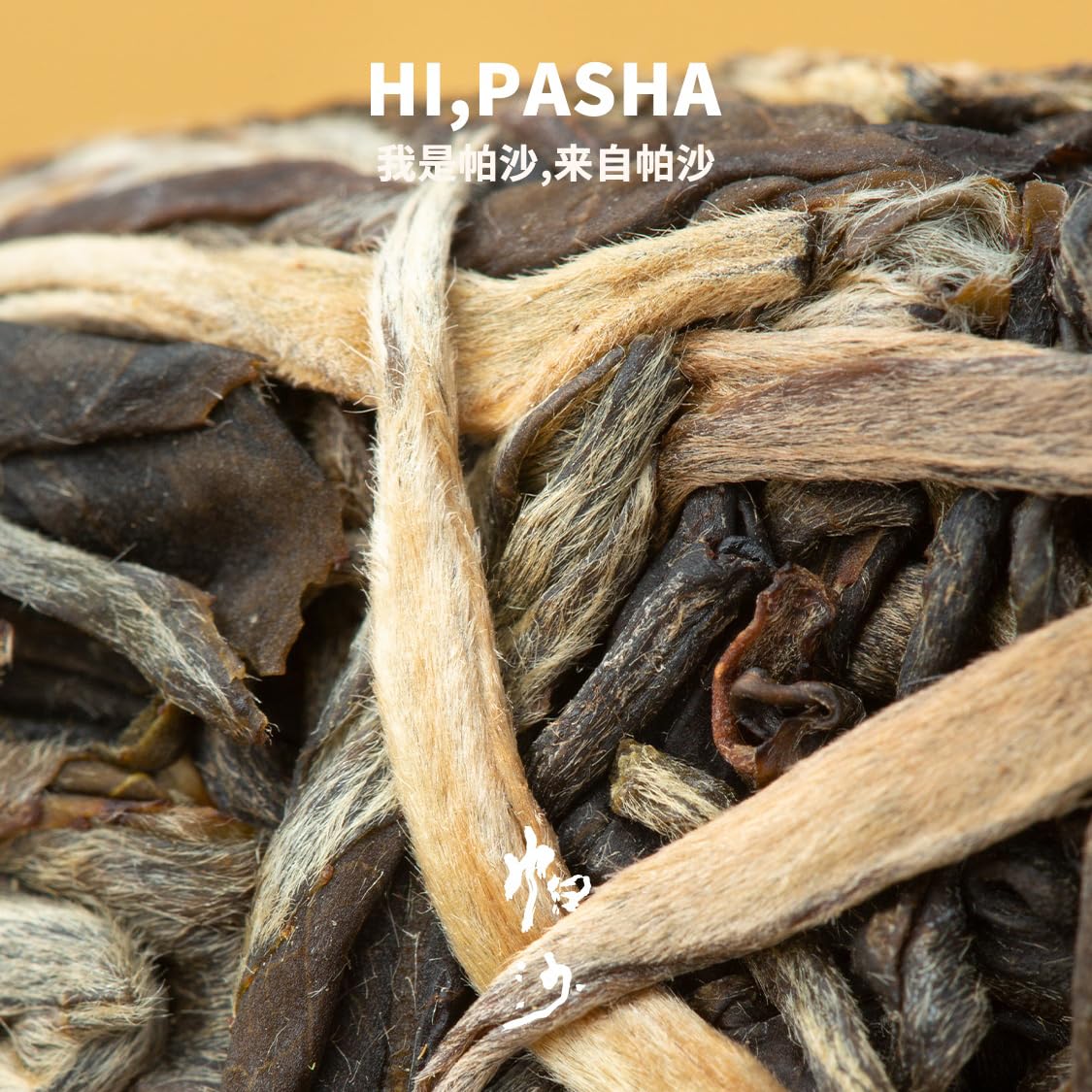 Rainforest Ancient Tree Pasha 2021 Raw Pu-Erh Tea Cake 357g – Premium Yunnan Sheng Puerh, Rich & Mellow