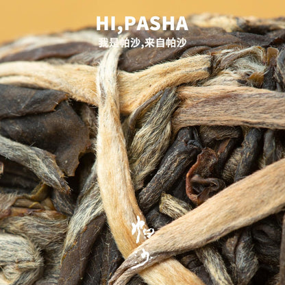 Rainforest Ancient Tree Pasha 2021 Raw Pu-Erh Tea Cake 357g – Premium Yunnan Sheng Puerh, Rich & Mellow