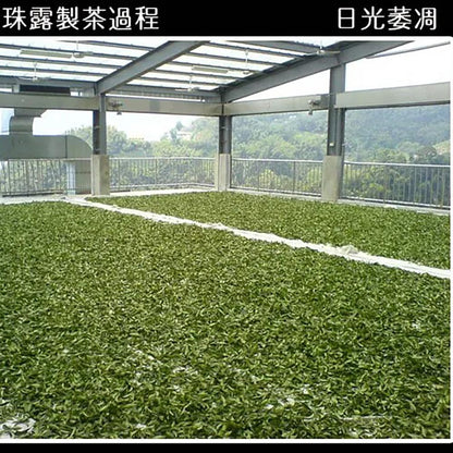 Taiwan unique tea,Chin-Shin-Oolong,阿里山珠露茶 Alishan Tea,300g*2