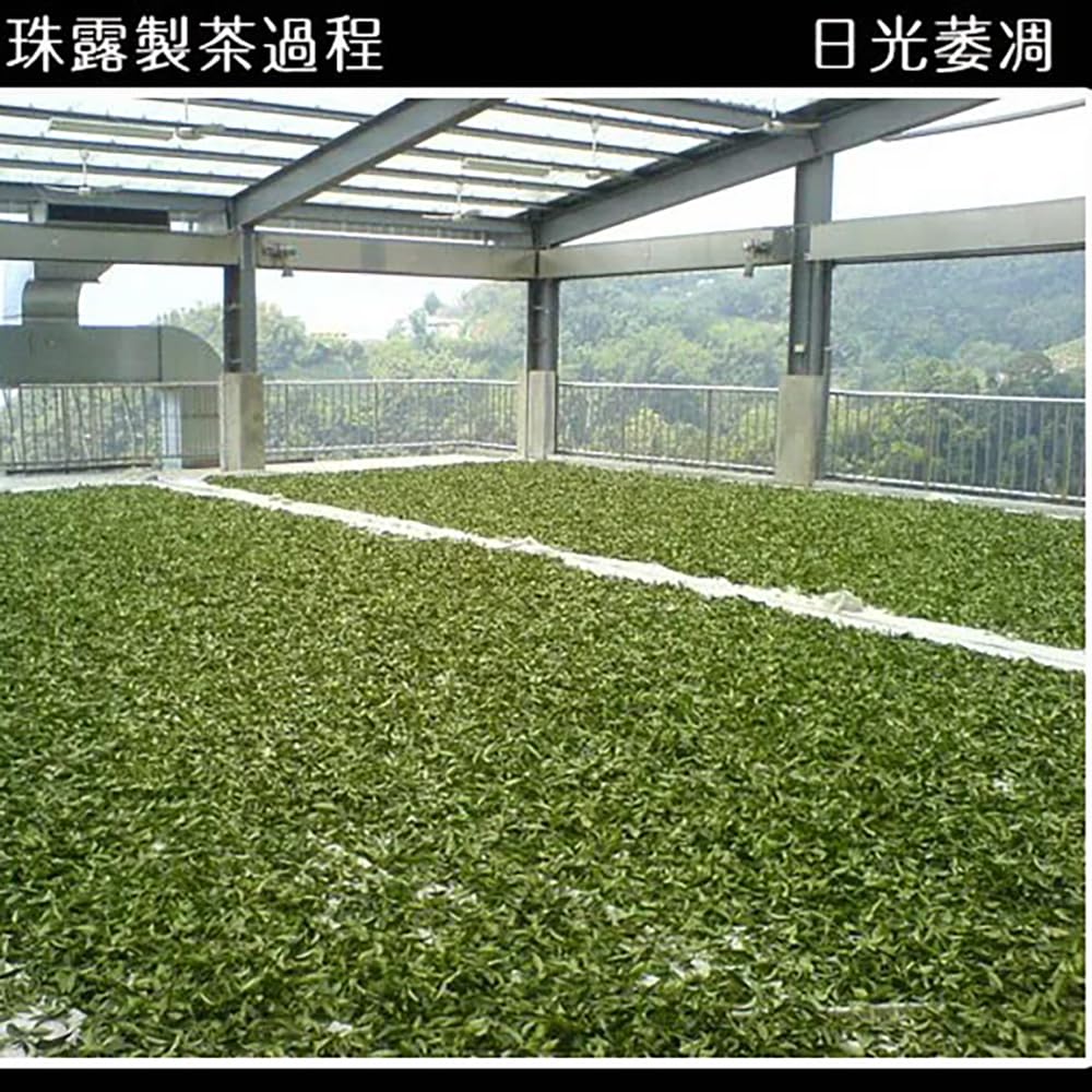 Taiwan unique tea,TTES No.12 (Jhinshuan),阿里山珠露茶 Alishan Tea,300g*2