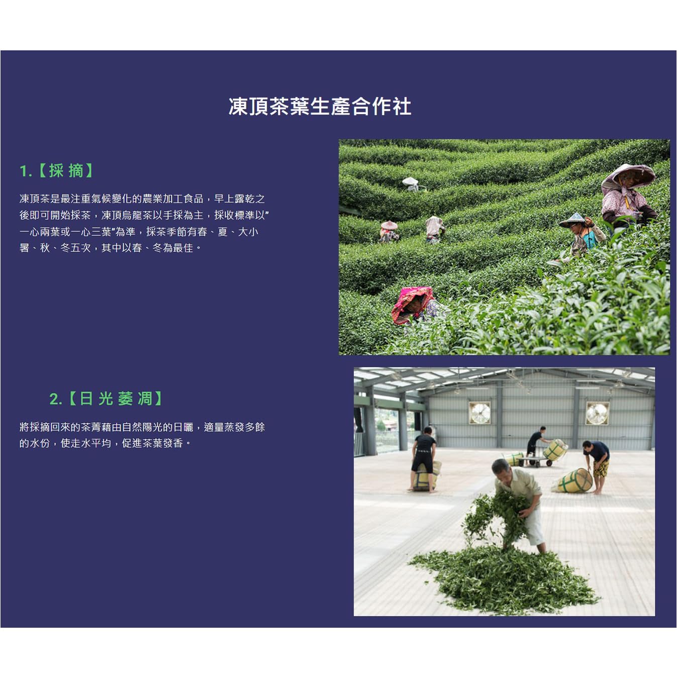 Dong Ding Oolong Tea – Medium Roast, Premium Selected Taiwanese Tea, 150g x 4 Packs (600g Total)