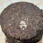 1980s 'Double Flower Mark' Raw Pu-erh Tea Cake, 357g, Aged in Hong Kong Traditional Storage, from Yunnan