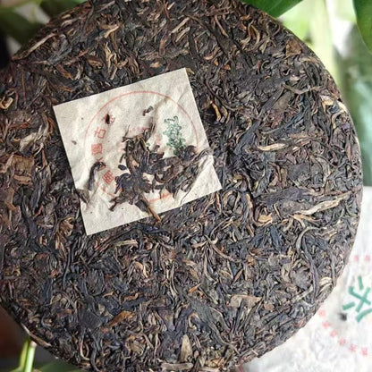 1998 Bamai Ancient Tree Raw Pu-Erh Tea Cake, 357g – Aged Sheng Pu-erh from Jingmai Mountain, Yunnan