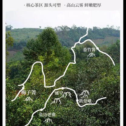 Pu-Erh tea,2022,Xiangzhuqing,357g,Raw