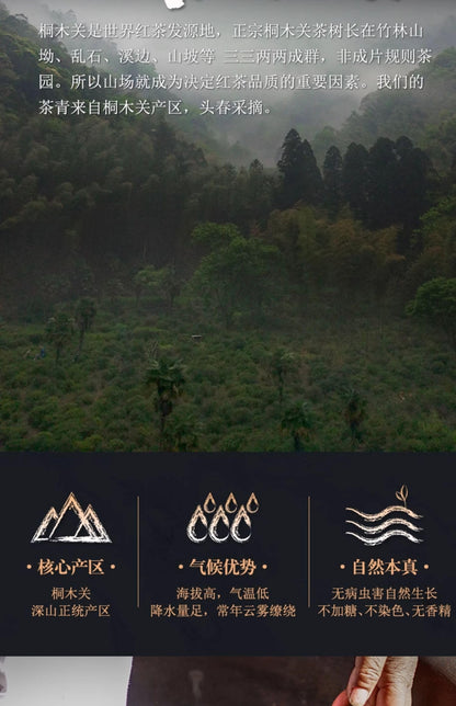 Wuyi Black Tea 武夷紅茶,桐木關梅占金俊眉花果香,250g*2,Shipped from China