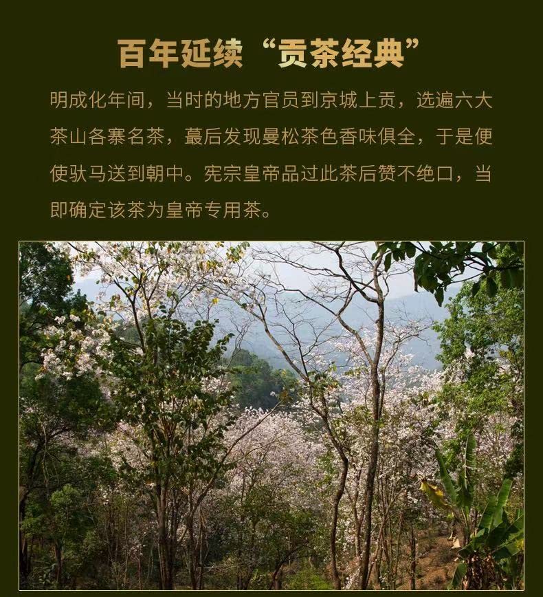 Sheng Jia Yuan 2016 Mansong Raw Pu-Erh Tea – 357g (12.6oz) Sheng Puerh Cake – Premium Aged Chinese Tea