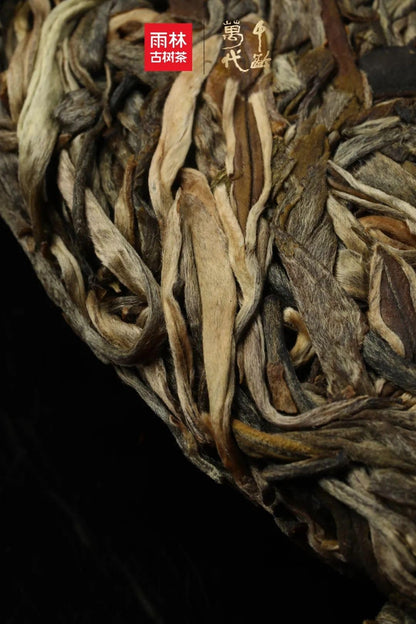 Yulin Ancient Tea 2019 Qian Ling Wan Dai Banzhang Extra Large Ancient Tree Raw Puerh Tea Premium Cake 357g