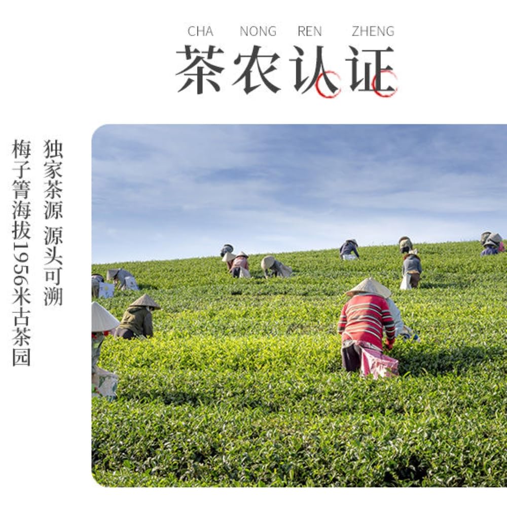 Pu-Erh tea,2022,Mei Ziqing,357g,Raw