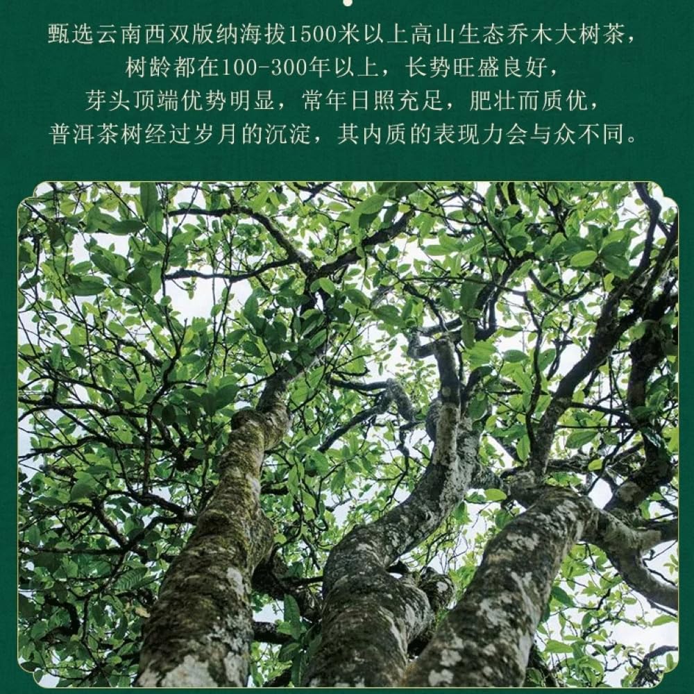 Chen Sheng Hao 2017 Naka Raw Pu-Erh Tea – 357g (12.6oz) Sheng Puerh Cake – Premium Aged Chinese Green Tea