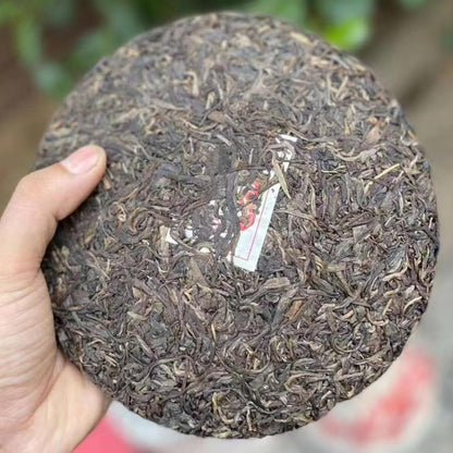 Xinghai Tea Factory Dong Shun Xiang Raw Pu-Erh Tea 2006 – 357g