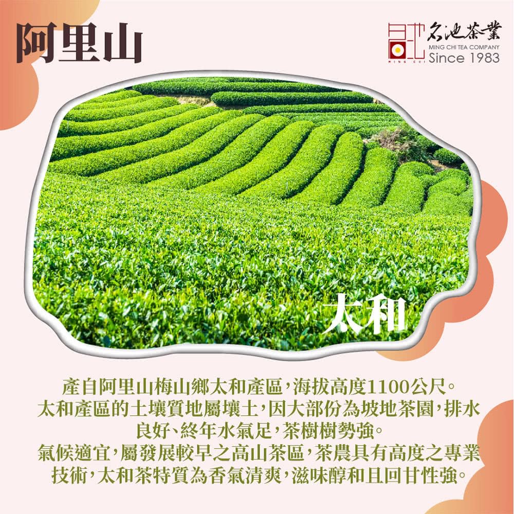 Taiwan unique tea,TTES No.12 (Jhinshuan),阿里山金萱手採高山茶葉 Alishan High Mountain Tea Leaves,150g*4
