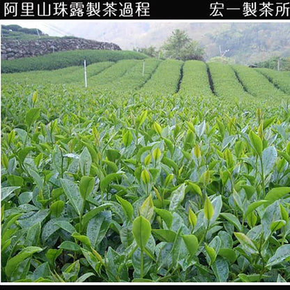 Taiwan unique tea,TTES No.12 (Jhinshuan),阿里山珠露茶 Alishan Tea,300g*2