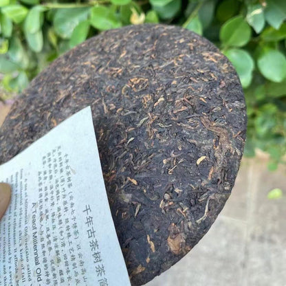 Pu-Erh tea,2003,Millennium Ancient Tea Tree Tea,357g,Ripe