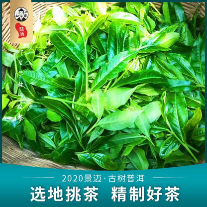 Lu Tang 2020 Jingmai Ancient Tree Raw Pu-Erh Tea – 357g (12.6oz) Sheng Puerh Cake – Premium Chinese Tea