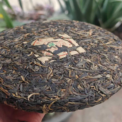 2003 Vintage Material Yiwu Ancient Tree Raw Pu-erh Tea Cake 357g - Pressed in 2012