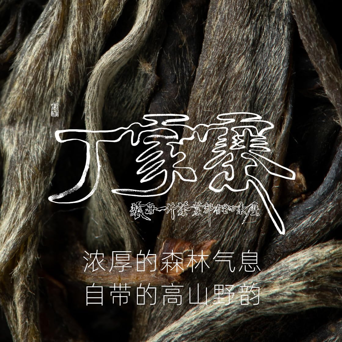 Rainforest Ancient Tree 2021 Dingjiazhai Raw Pu-Erh Tea Cake – 357g Premium Sheng Puerh