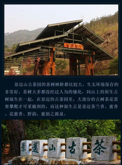 2017 Jingmai Mountain Pure Ancient Tree Raw Pu-erh Tea Cake, 357g, from Yunnan