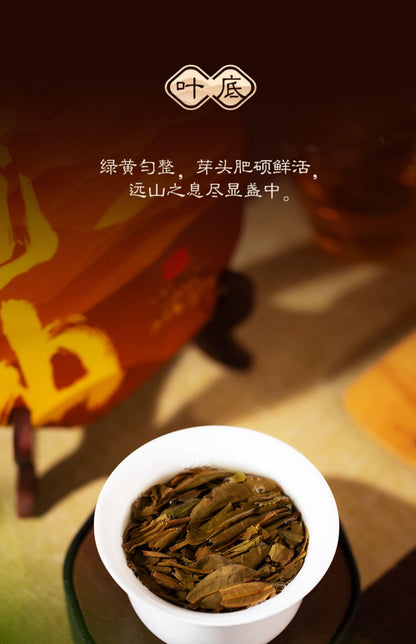 2024 Dayi Mountain View Raw Pu-erh Tea Cake, 357g, from Yunnan