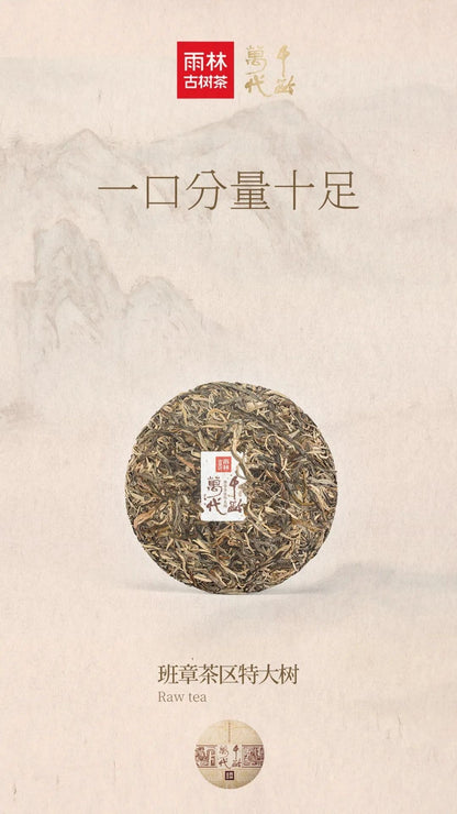Yulin Ancient Tea 2019 Qian Ling Wan Dai Banzhang Extra Large Ancient Tree Raw Puerh Tea Premium Cake 357g