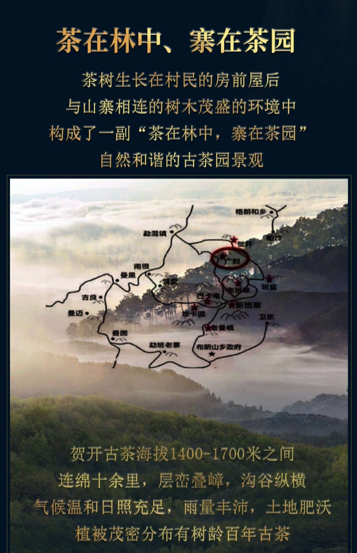 Sheng Jiayuan 2020 He Kai Raw Pu-Erh Tea Cake 357g – Aged Sheng Puerh from He Kai Mountain, Yunnan
